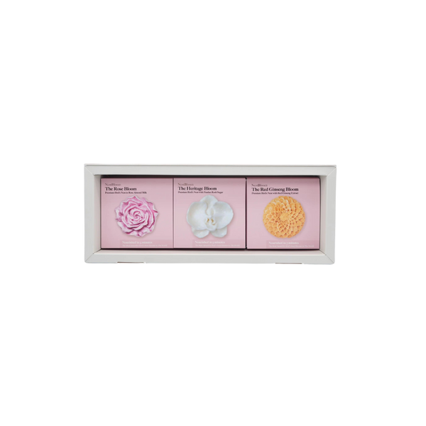 Signature Ginseng Collection