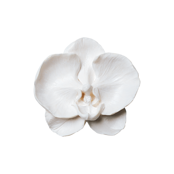 Heritage Bloom