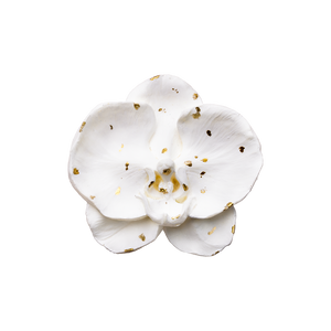 Golden Heritage Bloom