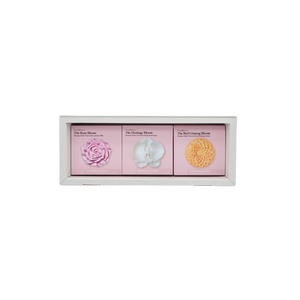 Signature Ginseng Collection
