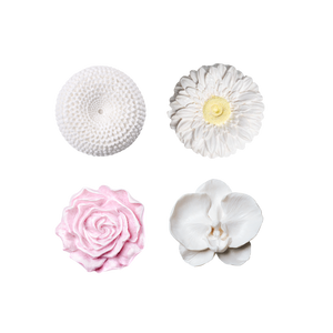 Box 4 Gift Set Bundles