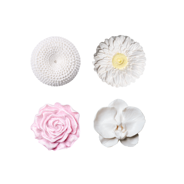 Box 4 Gift Set Bundles