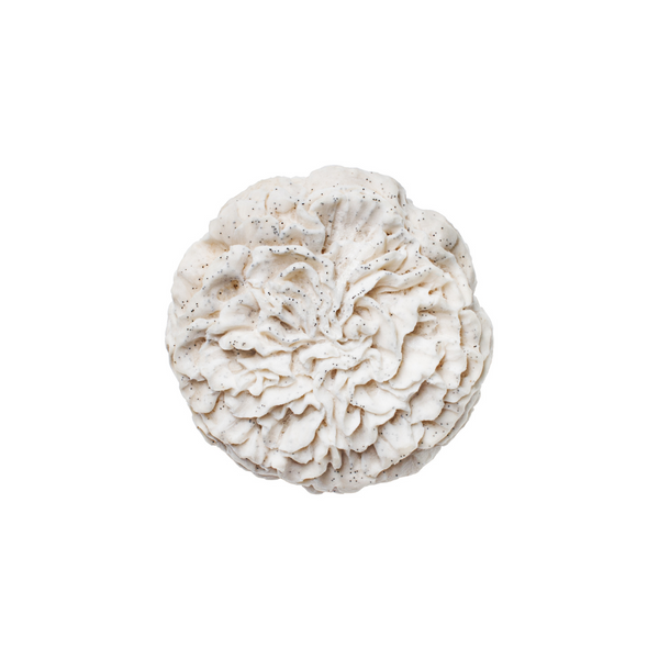 Vanilla Bean Almond Bloom