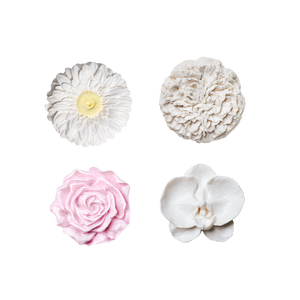 Box 4 Gift Set Bundles