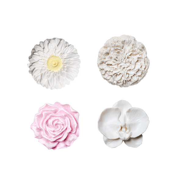 Box 4 Gift Set Bundles