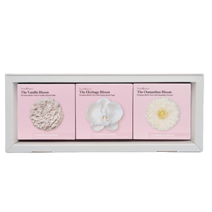 Bestseller Set 1 (Vanilla, Heritage, Osmanthus)