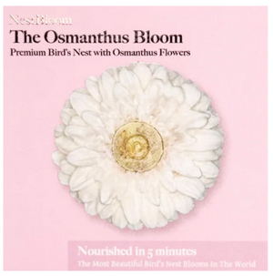 Joyous Harmony Bloom Set