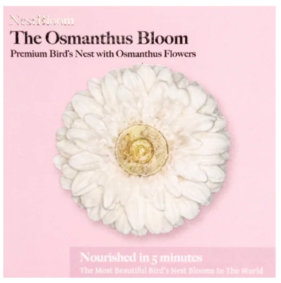 Joyous Harmony Bloom Set