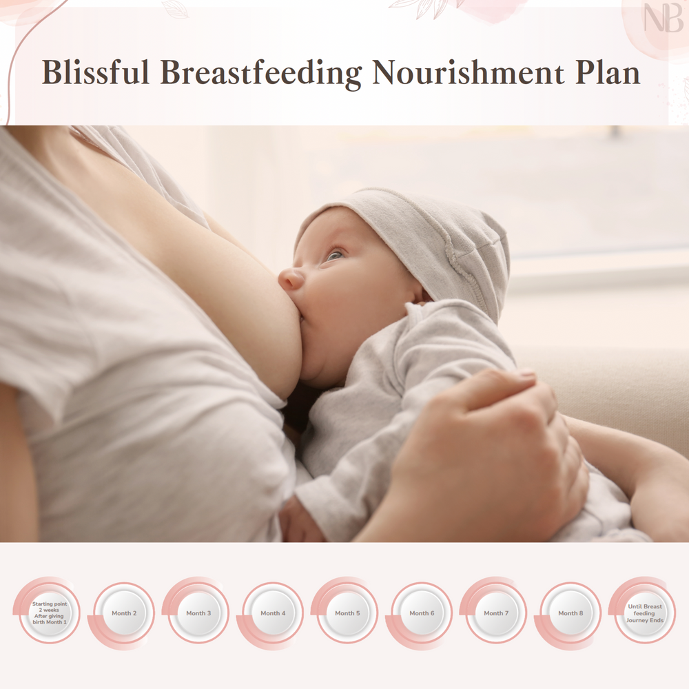 Breastfeeding Nourishment Plan (4 Months) 48 Pieces