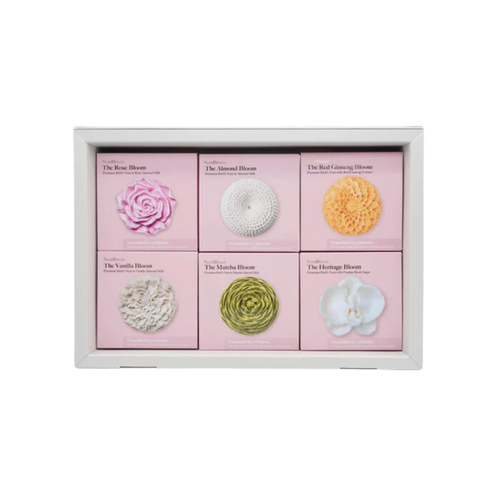 Classic Box of 6